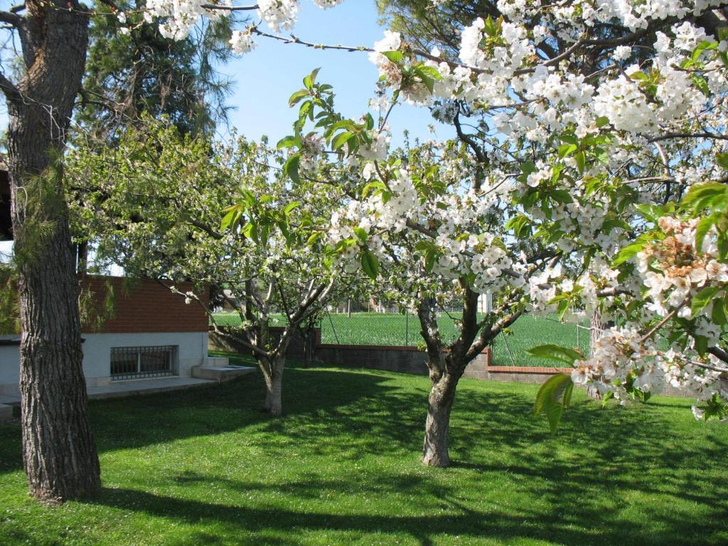 Bed & Breakfast Bompadre Civitanova Marche Εξωτερικό φωτογραφία