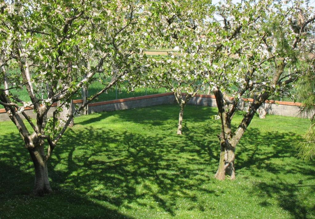 Bed & Breakfast Bompadre Civitanova Marche Εξωτερικό φωτογραφία